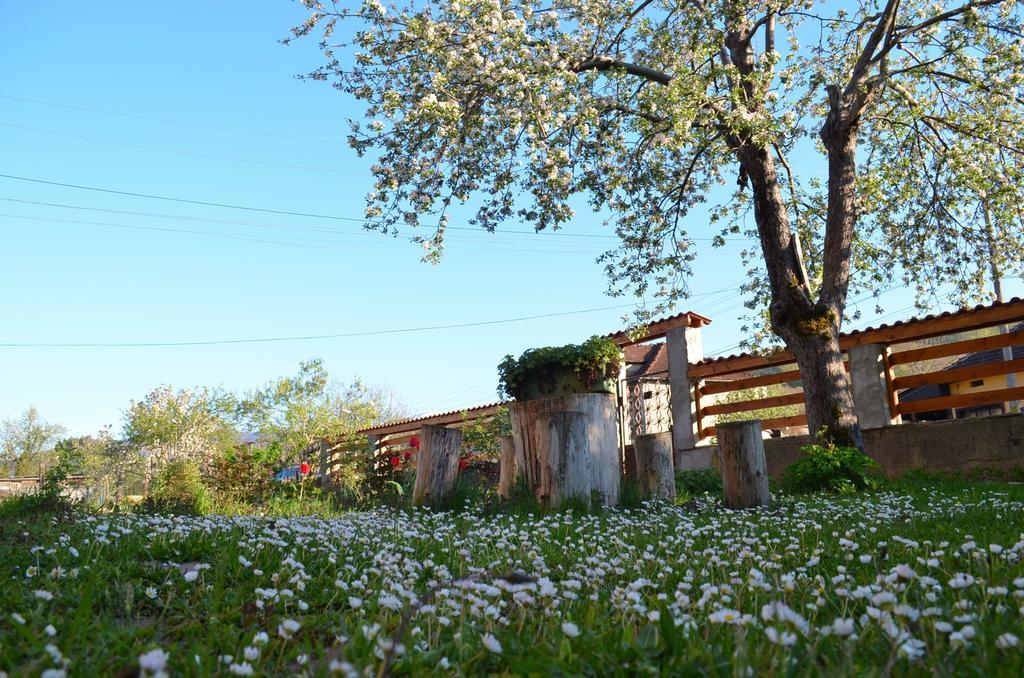 Villa Ribaritsa Dış mekan fotoğraf