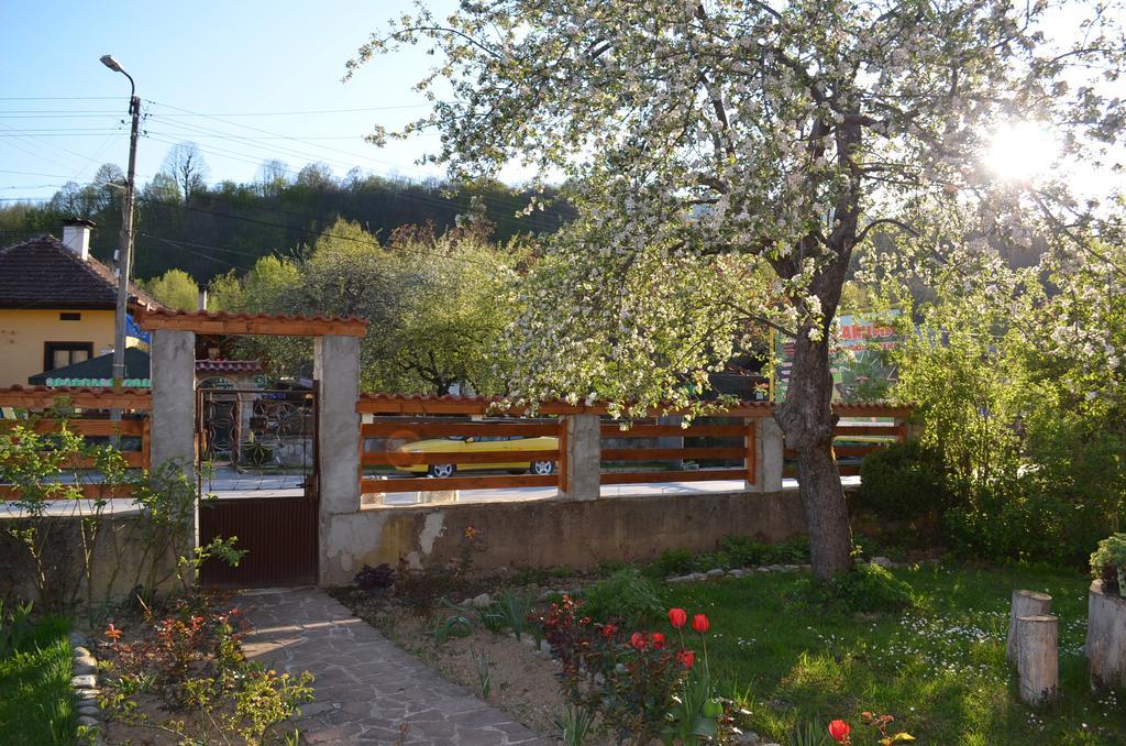 Villa Ribaritsa Dış mekan fotoğraf
