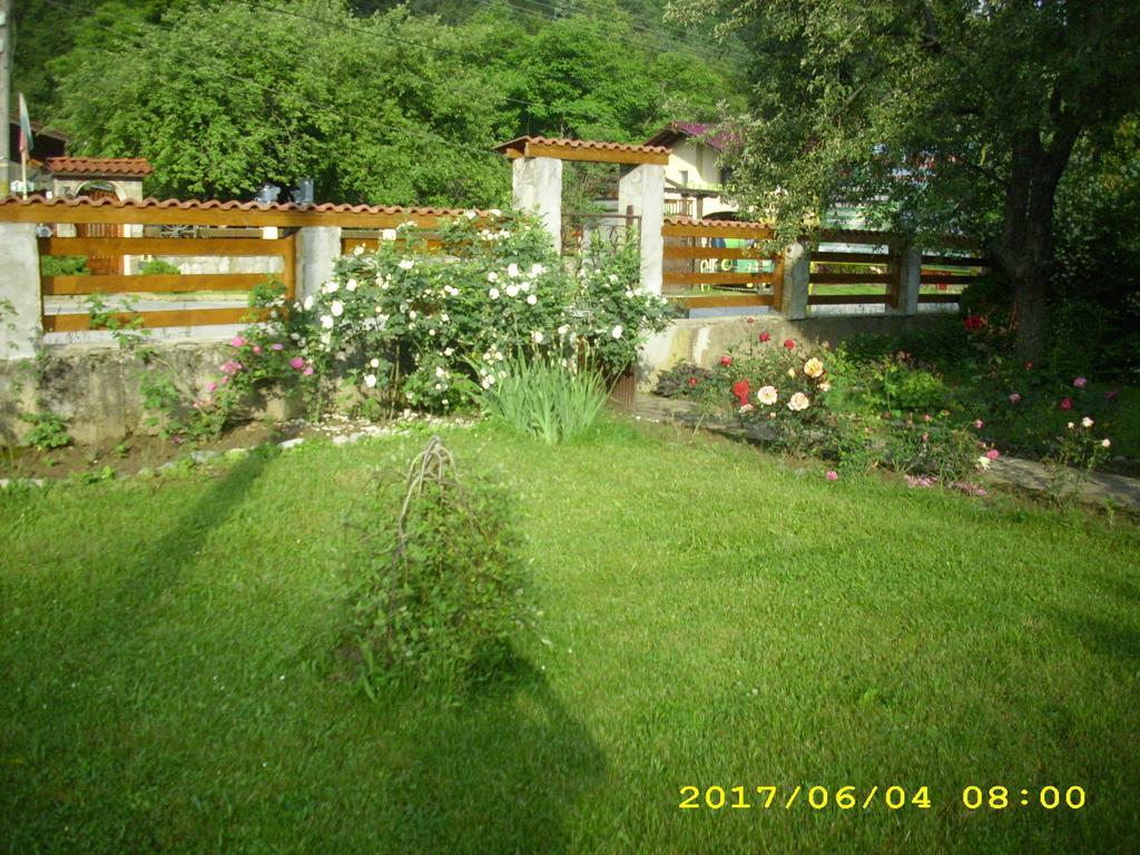 Villa Ribaritsa Dış mekan fotoğraf