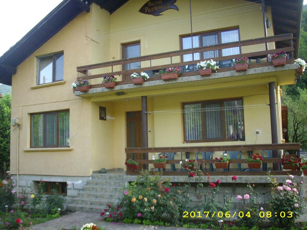 Villa Ribaritsa Dış mekan fotoğraf